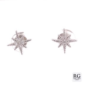 Sterling Silver Earrings