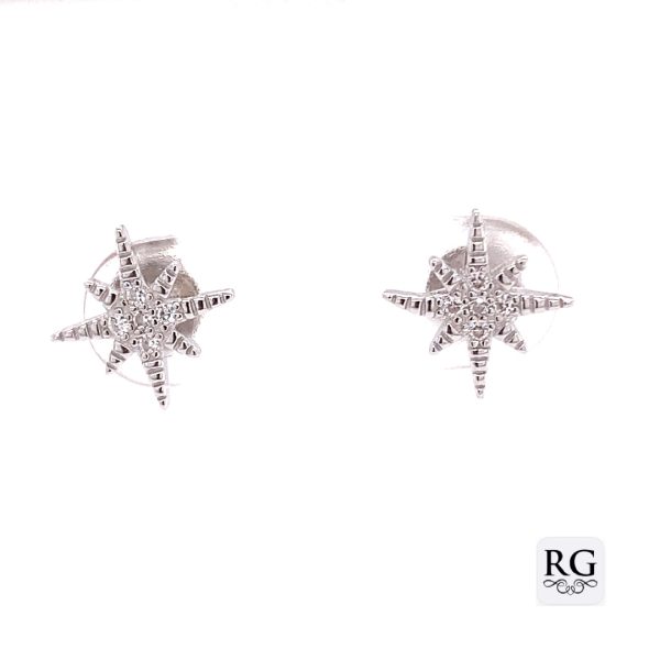 Sterling Silver Earrings