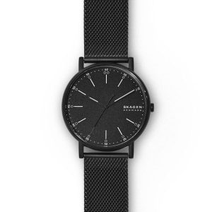 Skagen Watch